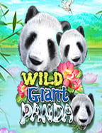 เดิมพันฟรี การพนันบอลออนไลน์ เคล็ดลับสร้างกำไร